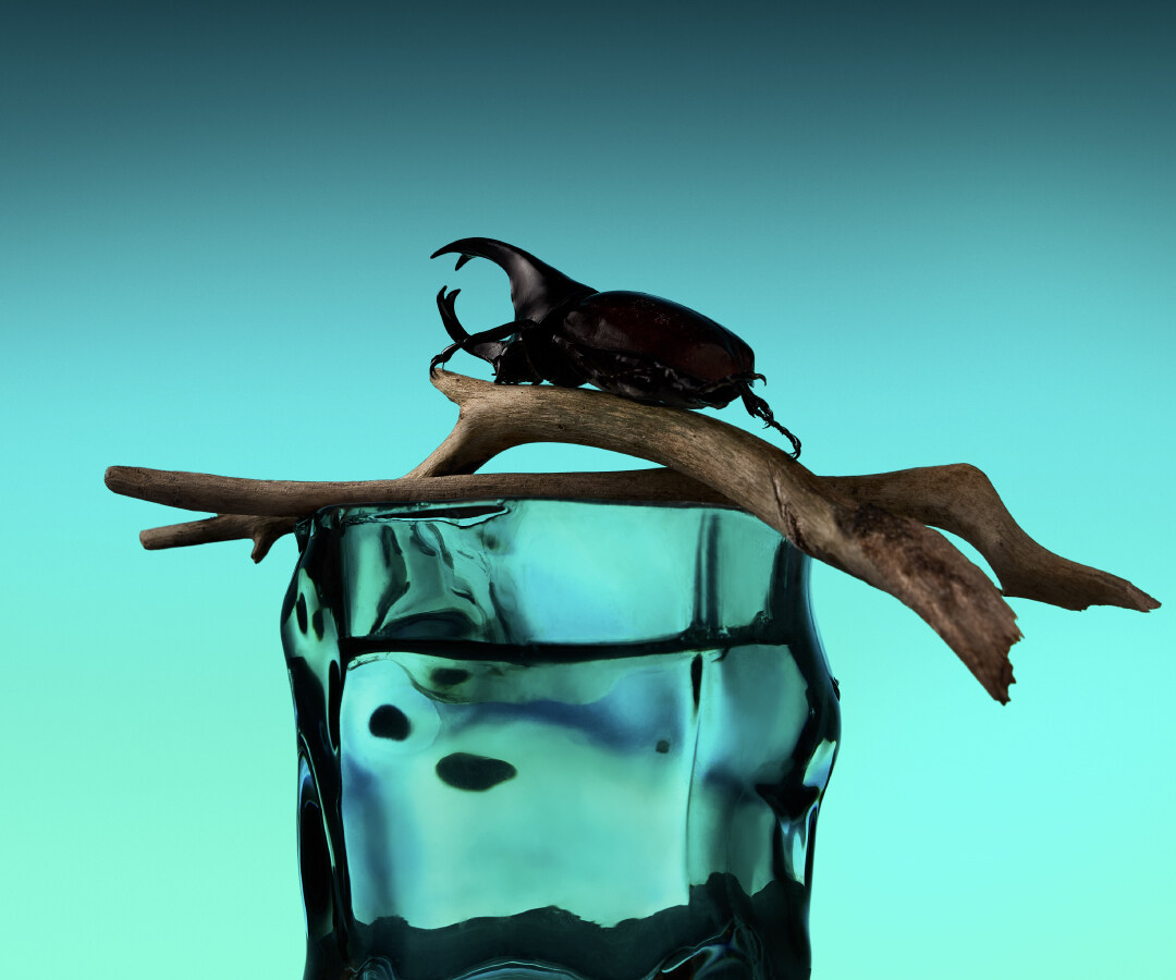 Banner Imange Cathkidston